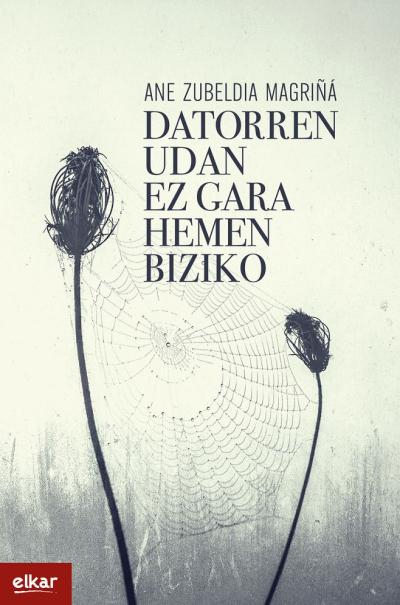 Datorren udan ez gara hemen biziko