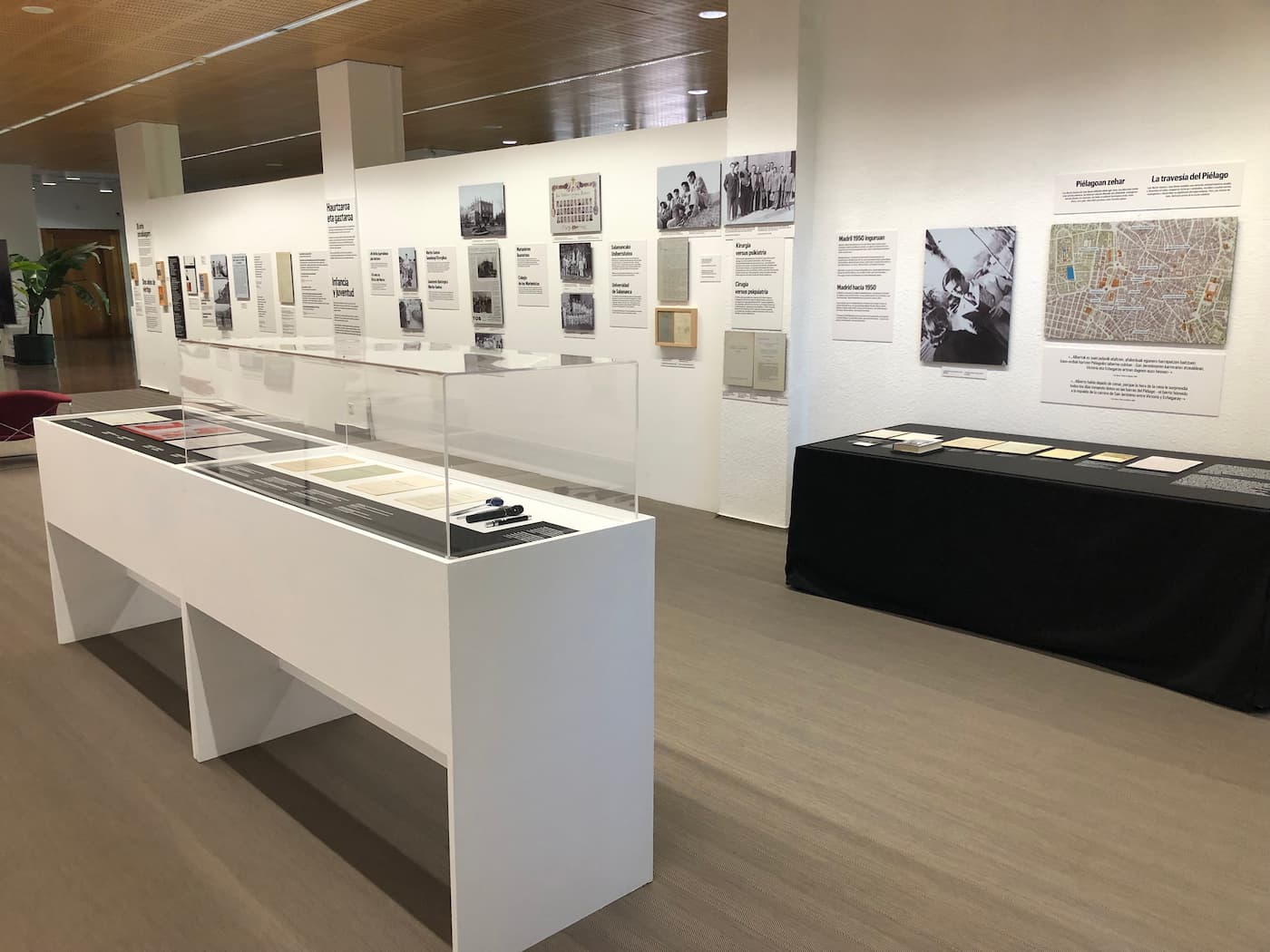 Expo Luis Martín-Santos