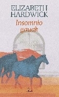 Insomnio gauak