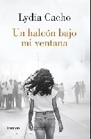 Un halcón bajo mi ventana